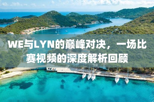 WE与LYN的巅峰对决，一场比赛视频的深度解析回顾