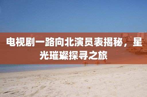 电视剧一路向北演员表揭秘，星光璀璨探寻之旅