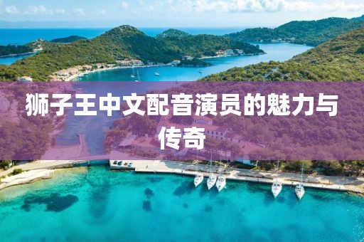 狮子王中文配音演员的魅力与传奇