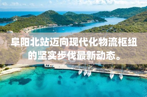 阜阳北站迈向现代化物流枢纽的坚实步伐最新动态。