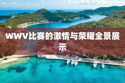 WWV比赛的激情与荣耀全景展示