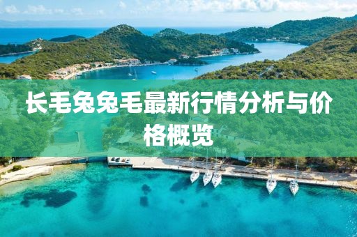 长毛兔兔毛最新行情分析与价格概览
