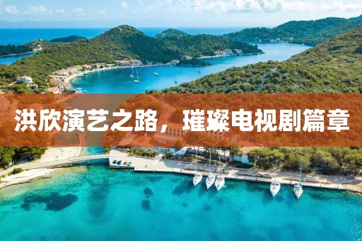 洪欣演艺之路，璀璨电视剧篇章