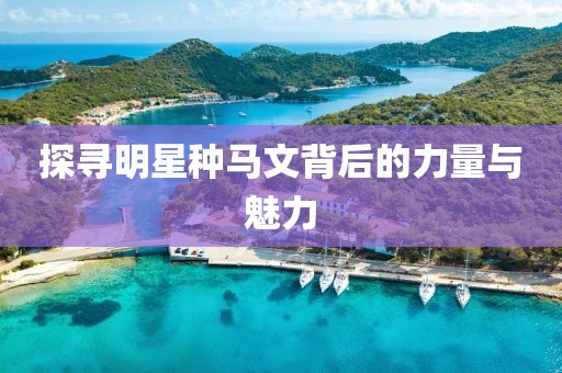 探寻明星种马文背后的力量与魅力