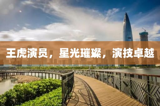 王虎演员，星光璀璨，演技卓越