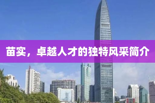 苗实，卓越人才的独特风采简介