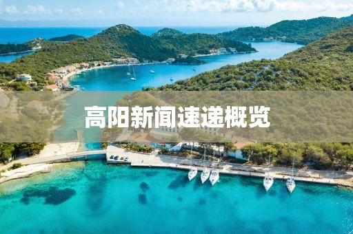 高阳新闻速递概览