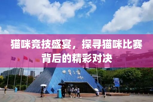 猫咪竞技盛宴，探寻猫咪比赛背后的精彩对决