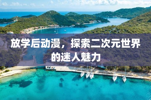 放学后动漫，探索二次元世界的迷人魅力