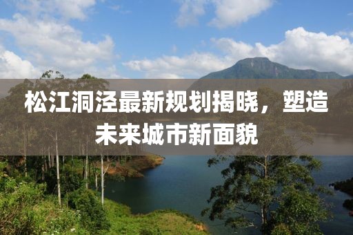 松江洞泾最新规划揭晓，塑造未来城市新面貌