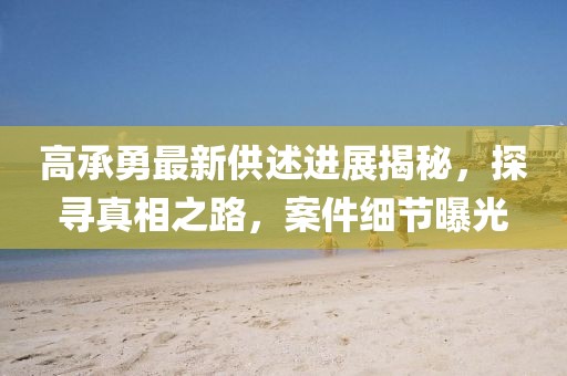 高承勇最新供述进展揭秘，探寻真相之路，案件细节曝光