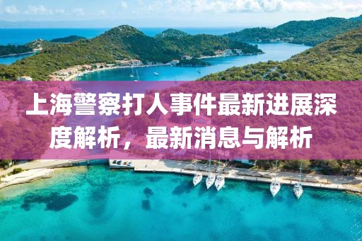 菠萝草莓酱 第20页