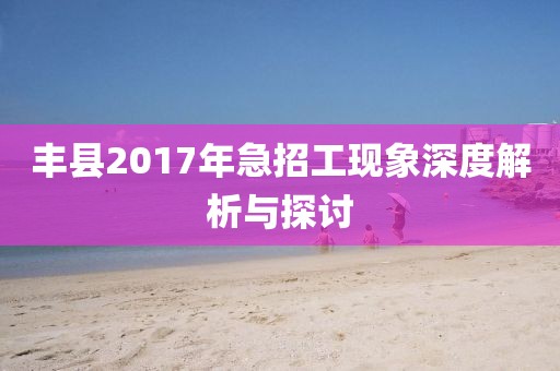 丰县2017年急招工现象深度解析与探讨