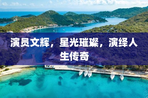 演员文辉，星光璀璨，演绎人生传奇