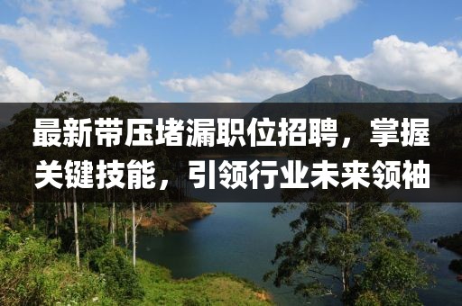 最新带压堵漏职位招聘，掌握关键技能，引领行业未来领袖