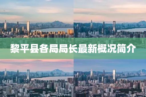黎平县各局局长最新概况简介