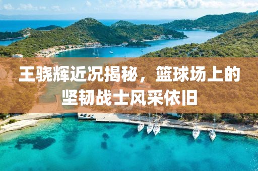 王骁辉近况揭秘，篮球场上的坚韧战士风采依旧