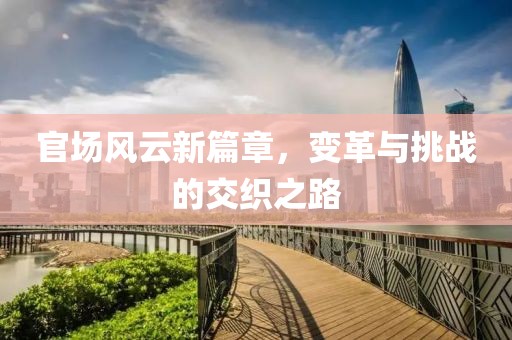 官场风云新篇章，变革与挑战的交织之路