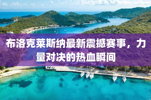 布洛克莱斯纳最新震撼赛事，力量对决的热血瞬间