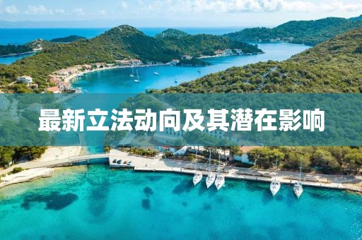 最新立法动向及其潜在影响
