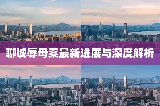 聊城辱母案最新进展与深度解析