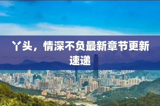 丫头，情深不负最新章节更新速递