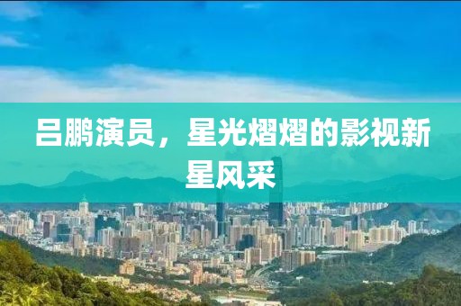 吕鹏演员，星光熠熠的影视新星风采