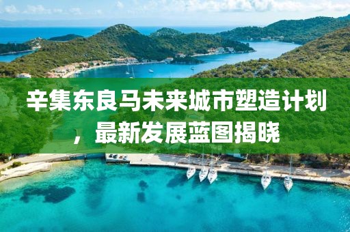 辛集东良马未来城市塑造计划，最新发展蓝图揭晓