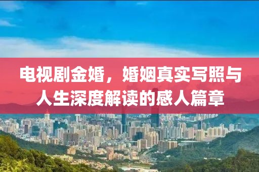 电视剧金婚，婚姻真实写照与人生深度解读的感人篇章