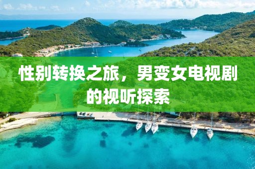 性别转换之旅，男变女电视剧的视听探索