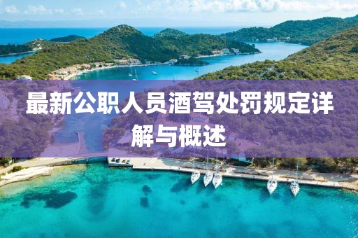 最新公职人员酒驾处罚规定详解与概述