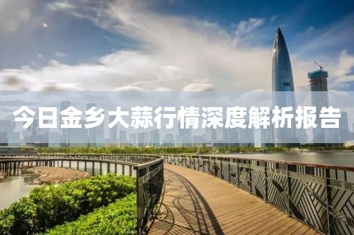 今日金乡大蒜行情深度解析报告