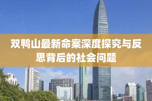 双鸭山最新命案深度探究与反思背后的社会问题