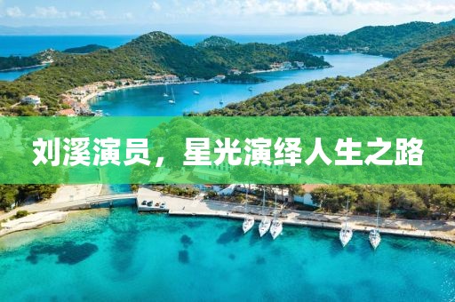 刘溪演员，星光演绎人生之路