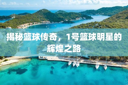 揭秘篮球传奇，1号篮球明星的辉煌之路
