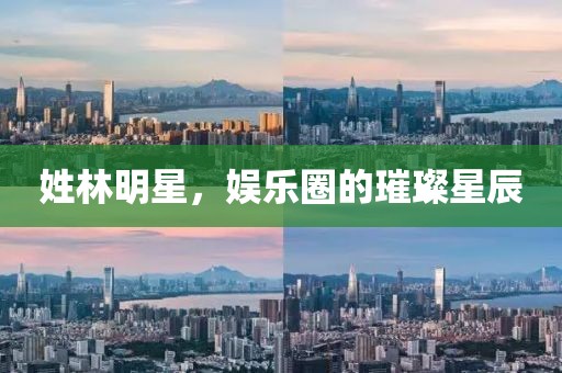 姓林明星，娱乐圈的璀璨星辰