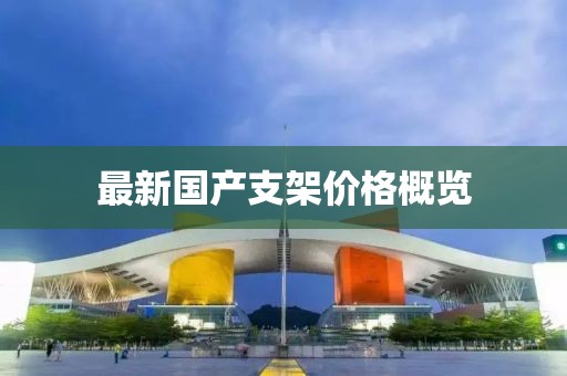 最新国产支架价格概览