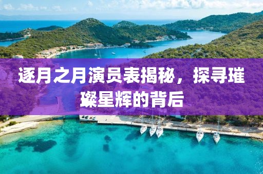 逐月之月演员表揭秘，探寻璀璨星辉的背后