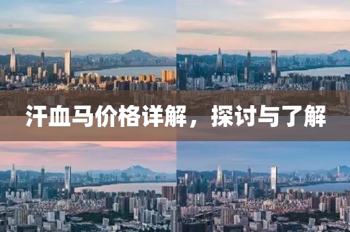 汗血马价格详解，探讨与了解