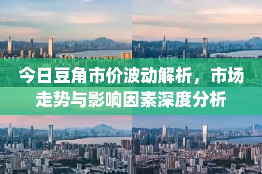 今日豆角市价波动解析，市场走势与影响因素深度分析