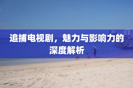 追捕电视剧，魅力与影响力的深度解析