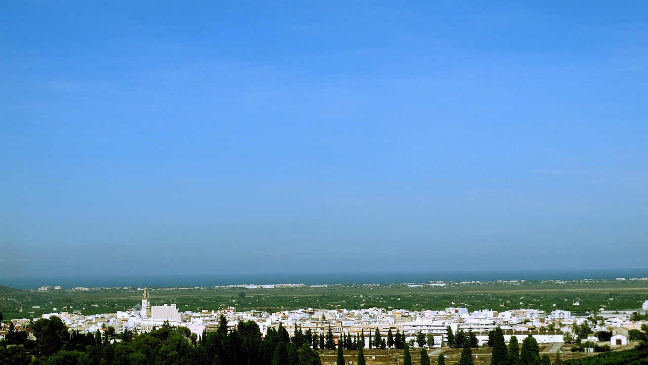 河北邮币市场最新动态概览