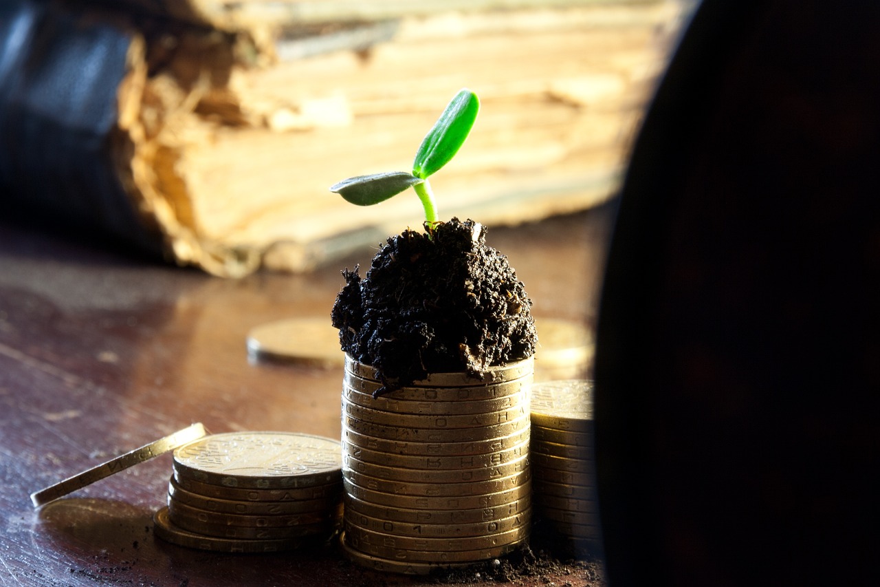 现货黄金今日行情深度解析与预测