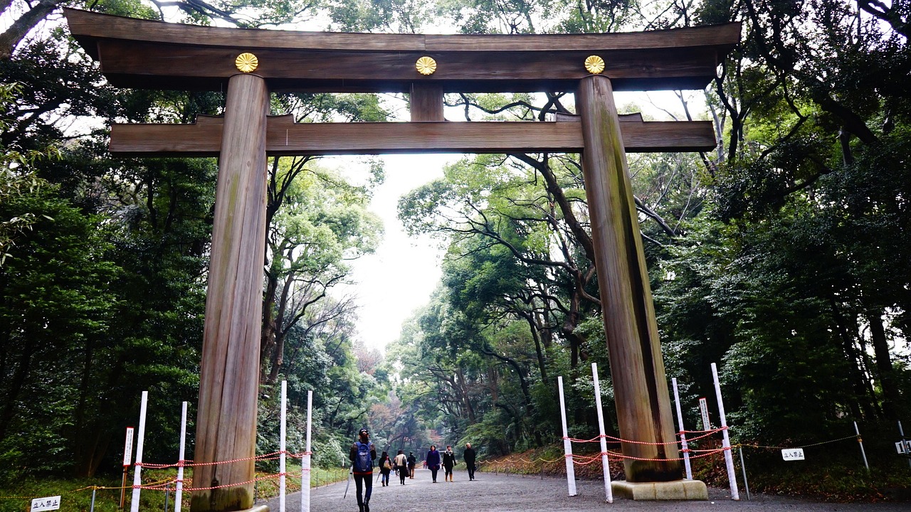 日本地震最新动态，影响及应对策略分析