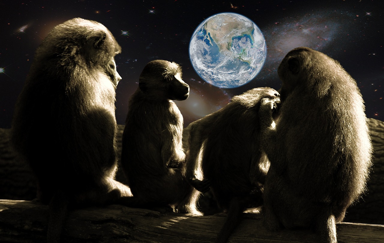 探索喵星人的奇幻世界，最新集喵星会揭秘！