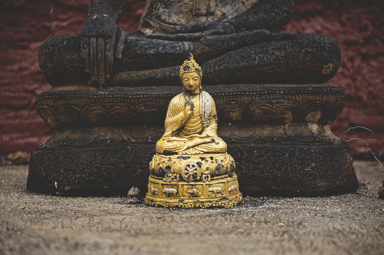 技术与艺术融合之美，最新动态GIF探索