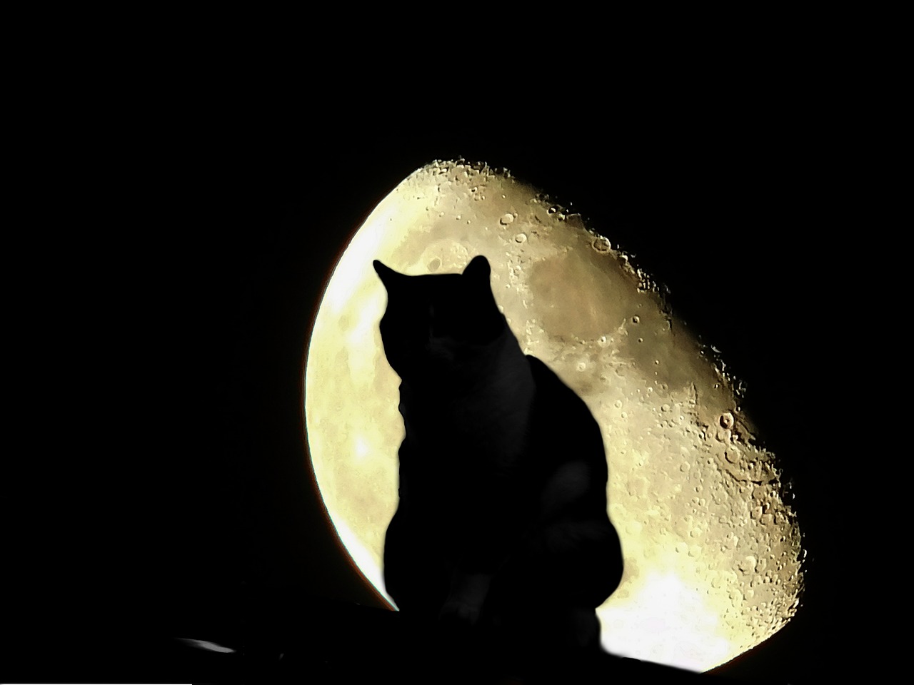 揭开夜晚神秘面纱下的真相，夜探秘闻最新揭秘