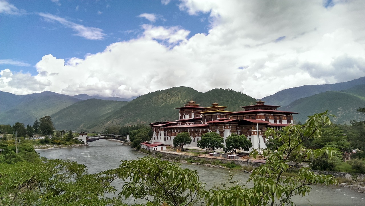 旅游学校伤人事件最新进展深度报道，最新动态与细节揭秘