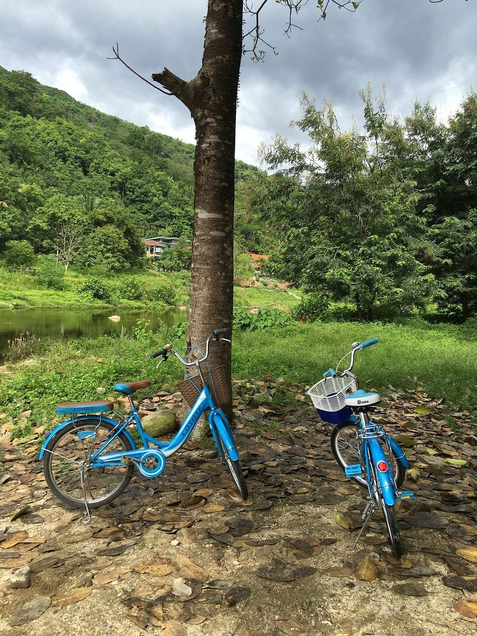 花垣紫霞湖最新动态，生态修复与旅游发展的融合之旅进展播报