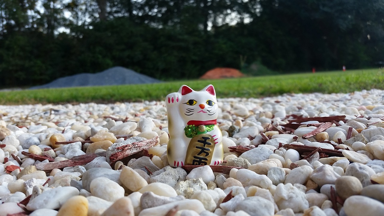 二次元世界中的兔子魅力，探寻有关兔子的动漫